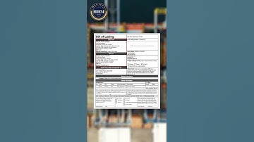 Bill of lading in Export Import business #facts #hiiem