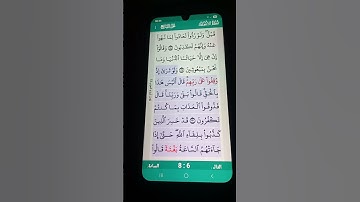 سورة الأنعام الآية 30-31 سعد الغامدي