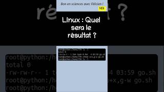 Les commandes Linux (exercice 5). #linux #fichiers #droits #commandes #shorts
