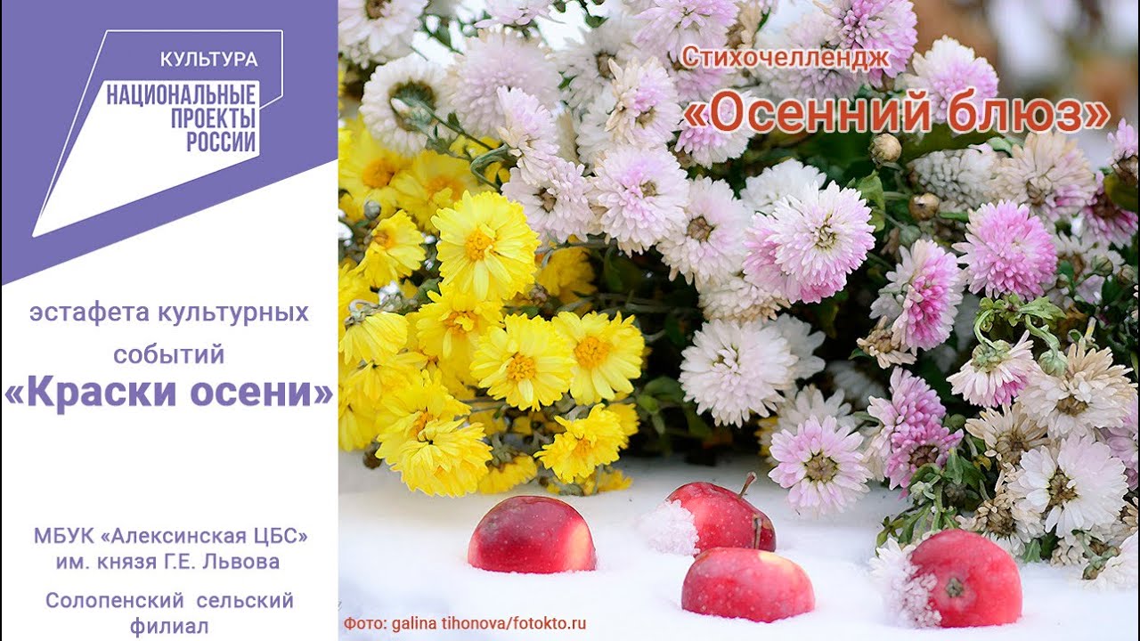 Хризантемы Зимой Фото