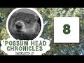 Possum head chronicles series 02 episode 08