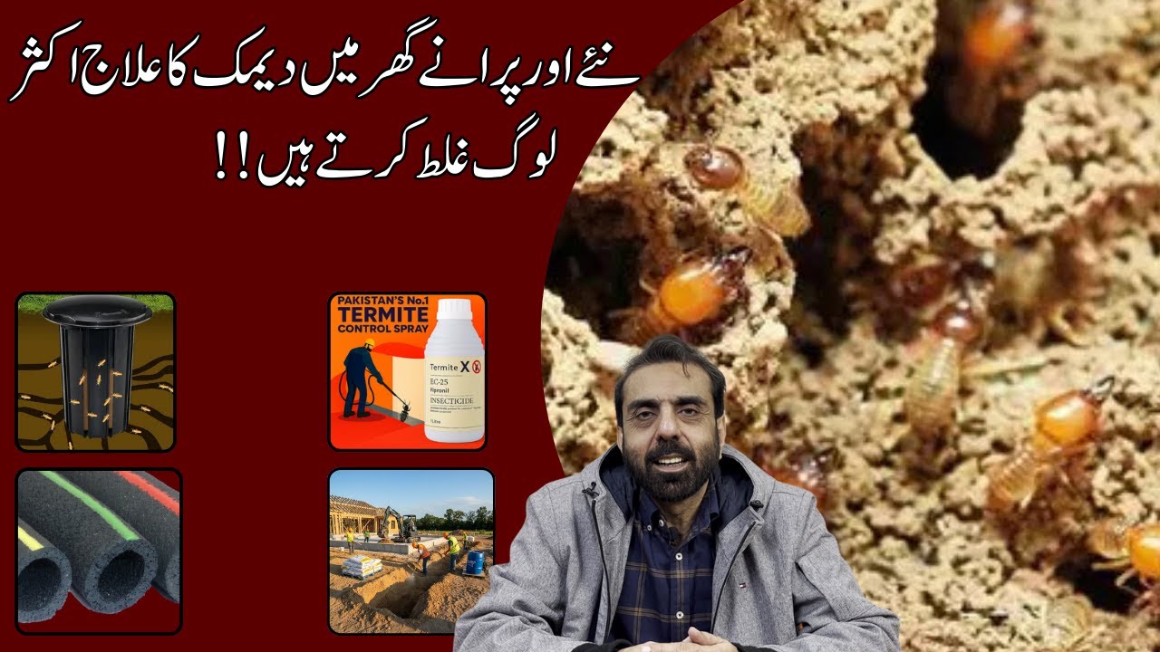 Ошибки при обработке домов от термитов, которые чаще всего допускают люди как в новых, так и в ст...