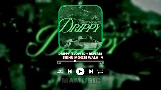 Drippy Slowed Reverb Sidhu Moose Wala Mxrci Ar Paisley Mamusic