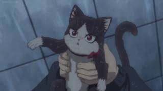 Subaru finds Haru (My Roommate is a Cat)