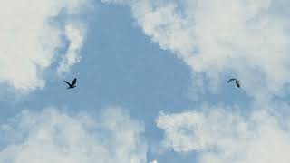 Afroham X Sam Howden - Unregistered Hypercam 2 Chillhop Jazz Beats