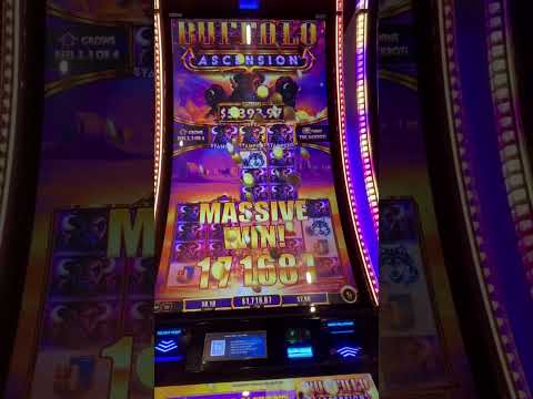 Diamond Queen HUGE bonus! £5 spin! #ukslots #casino #slots #jackpot