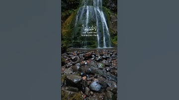 #تلاوات #قرآن #quran #ادريس_ابكر