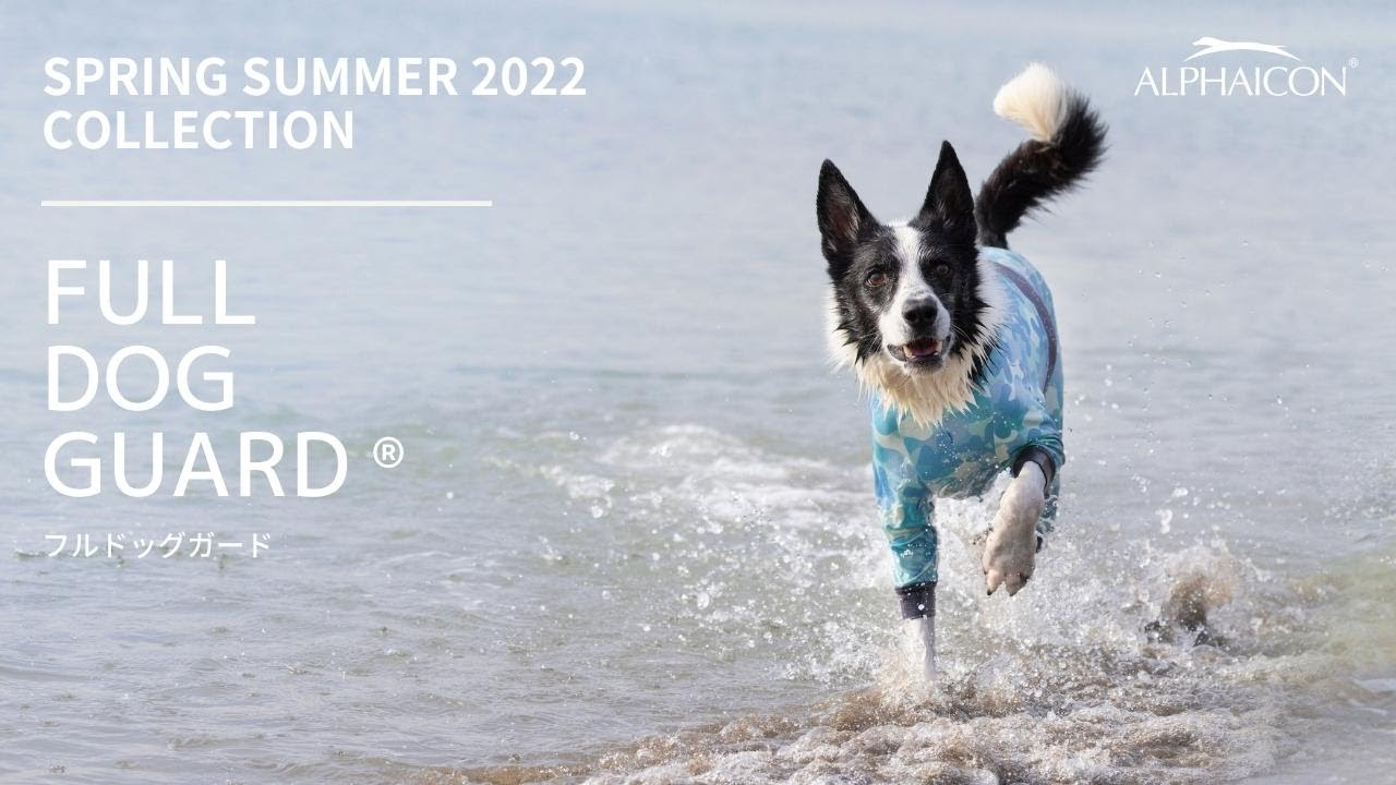 SPRING SUMMER 2022COLLECTION ーフルドッグガードー - YouTube