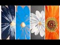 Flower painting #art #drawing #painting #flowers #trendingvideo #viral #viralvideo #youtubesearch 