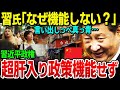 中国習主席「なぜ機能しない？」巨額予算を惜しげもなく投入し続けた超肝入り構想がここ一番で機能せず言い出しっぺの習氏真っ青！沈まないはずの都市が無惨に水没「責任者を出せ！あっ…」書籍出版延期か