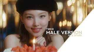 ONE SPARK | TWICE (MALE VERSION)