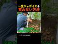 一生ジャガイモを買わない方法