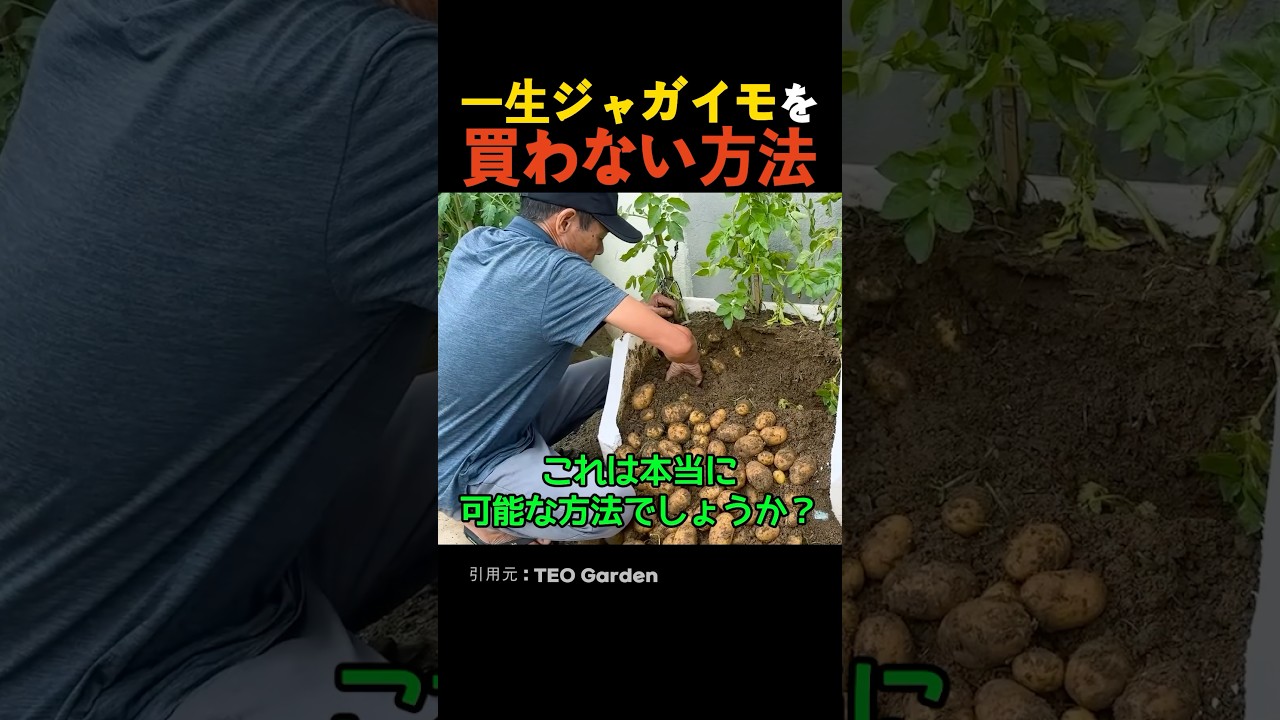 一生ジャガイモを買わない方法