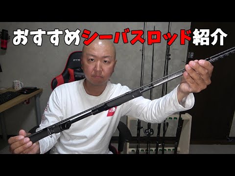 二年探したロッドをついに入手したのでおすすめシーバスロッド