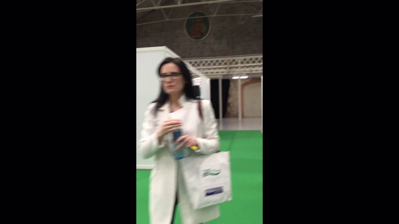 Franchise Show Dublin 2016