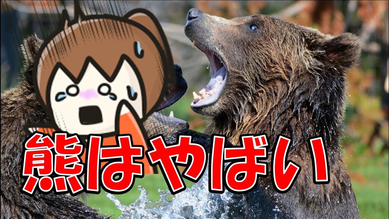 【幕末志士・坂本】道民ならわかる熊の恐ろしさ【遭遇しないのが一番】