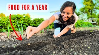 Turning our 1/8 ACRE GARDEN into a YEARS' SUPPLY OF FOOD (part 2)