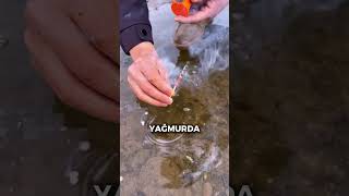 Bu Kibriti Herkes Sıradan Bir Kibrit Sandı Fakat Öyle Değildi!😁😱