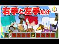【定例配信】2つのアイテムしか持てない世界でエンドラ討伐!【マイクラ・マインクラフト】