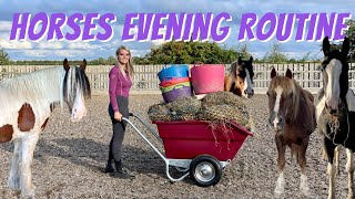 Updated Horse Evening Routine | ALL 7 HORSES | LilPetChannel