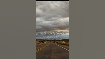 #قرآن #تلاوة_خاشعة #قران_كريم #قرآن_الصباح