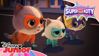 Problem Z Pianinem Superkoty Disney Junior Polska