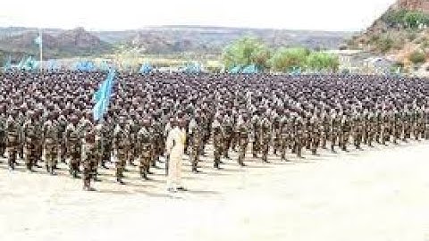 PRESIDENT MOHAMUD VISITS SOMALI TROOPS IN ERITREA