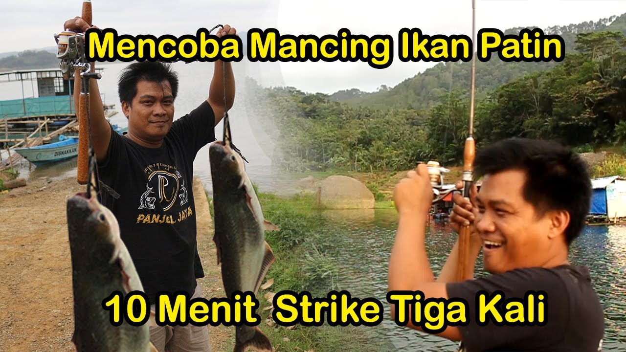 Mancing Ikan Patin Monster Waduk Wadaslintang TPI 2 #mancing