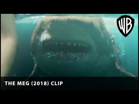 Get off the beach! | The Meg (2018) | Warner Bros. UK