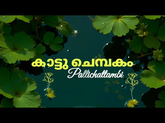 Kaattuchembakam  Malayalam Lyric song|Pallichattambi Movie|Tovino Thomas, Kayadu, Jakes Bejoy