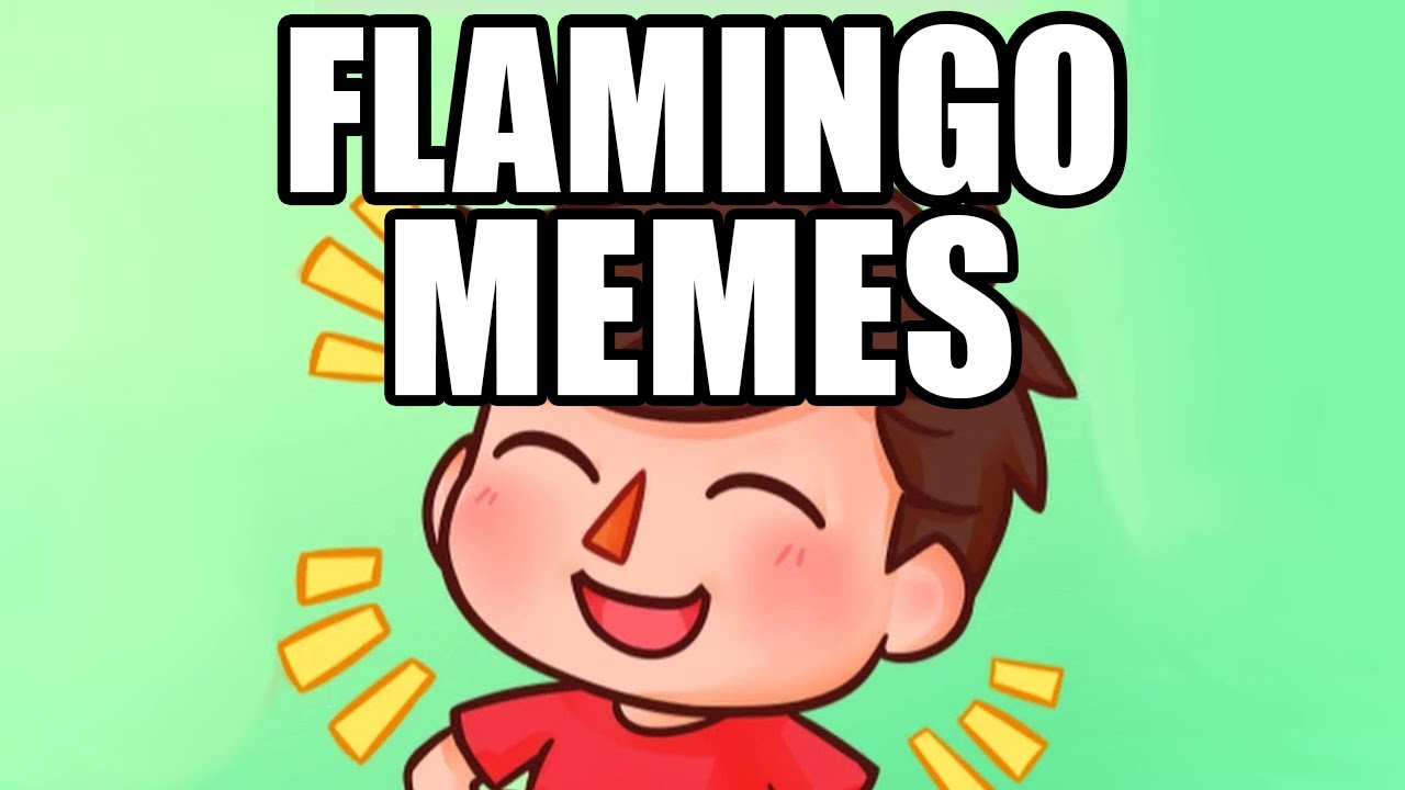 Albert Flamingo Meme Compilation Flamingo Meme Compilation Youtube - roblox memes flamingo albert memes