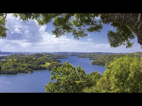 Video: ¿Por qué se creó el lago Gatún?