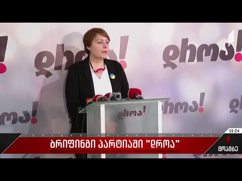 ბრიფინგი პარტიაში „დროა“
