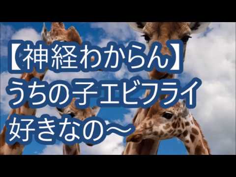 【神経わからん】うちの子エビフライ好きなの〜