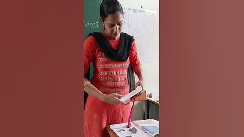 A mouse lifts an elephant, Class 5#Sunita in space#fun with science#cbse