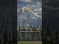 When Life Feels Heavy Read This | Surah Al-Hijr 97–99 | Quranic Studio #shorts #islamicreminder