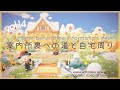 【あつ森】vol.14 案内所裏の道と自宅周り / Home behind the information desk | 島クリエイター【Animal Crossing New Horizons】