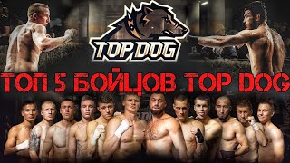 Топ 5 Бойцов Top Dog / Tоп 5 Топ Дог