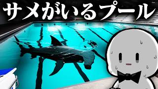 The popular horror game "Sharks and Minnows" where you get trapped in a pool with killer sharks screenshot 3