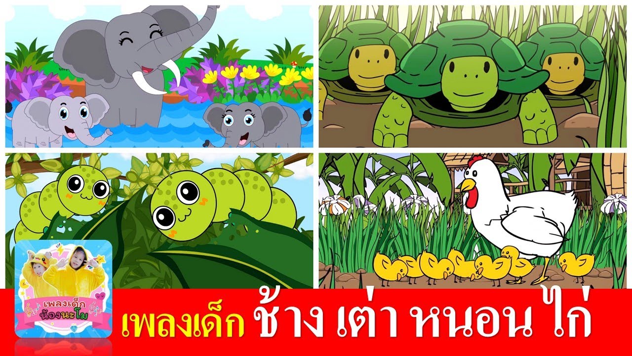 เพลงเด็ก ช้าง เต่า หนอน ไก่