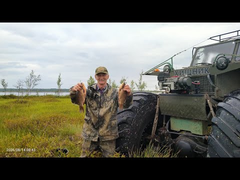 A Trip to the Taiga to Investigate an Anomalous Zone