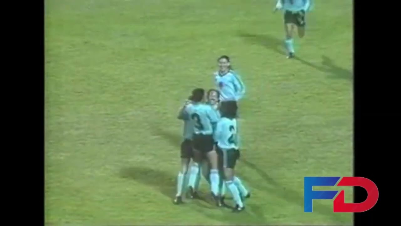 Goles Fecha 26 Campeonato Nacional 1991
