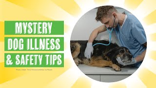 Mystery Dog Illness & Tips to Keep Your Dog Safe by Dog Nerd Show 107 views 4 months ago 8 minutes, 19 seconds