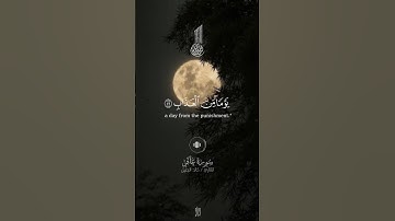 سورة غافر #quran #راحة_نفسية #foryou