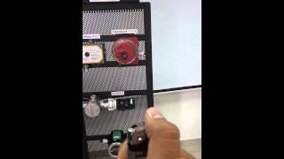 Prueba Flamegard 5 IV IR