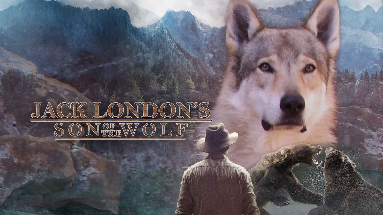 Jack Londons Son of the Wolf 2024  Full Movie  Adventure Movie