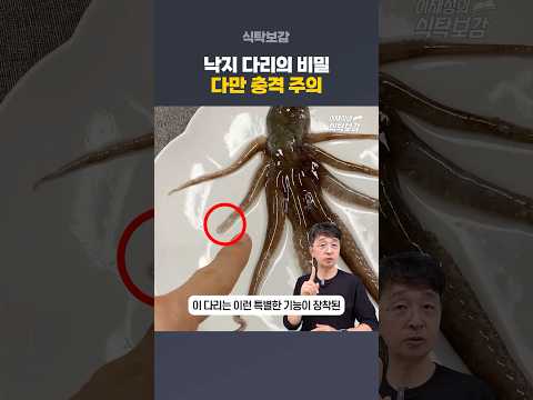 이제 낙지 드실 때 전과 같지 않을 겁니다