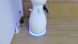 Auto Docking-Self Charging