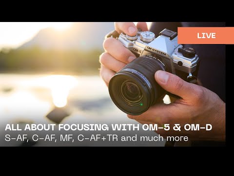 All about focusing with OM-5 & OM-D cameras