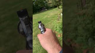 Colt Python / Wilson combat rear sight #coltpython #wilsoncombat #revolver #sixshots #357magnum